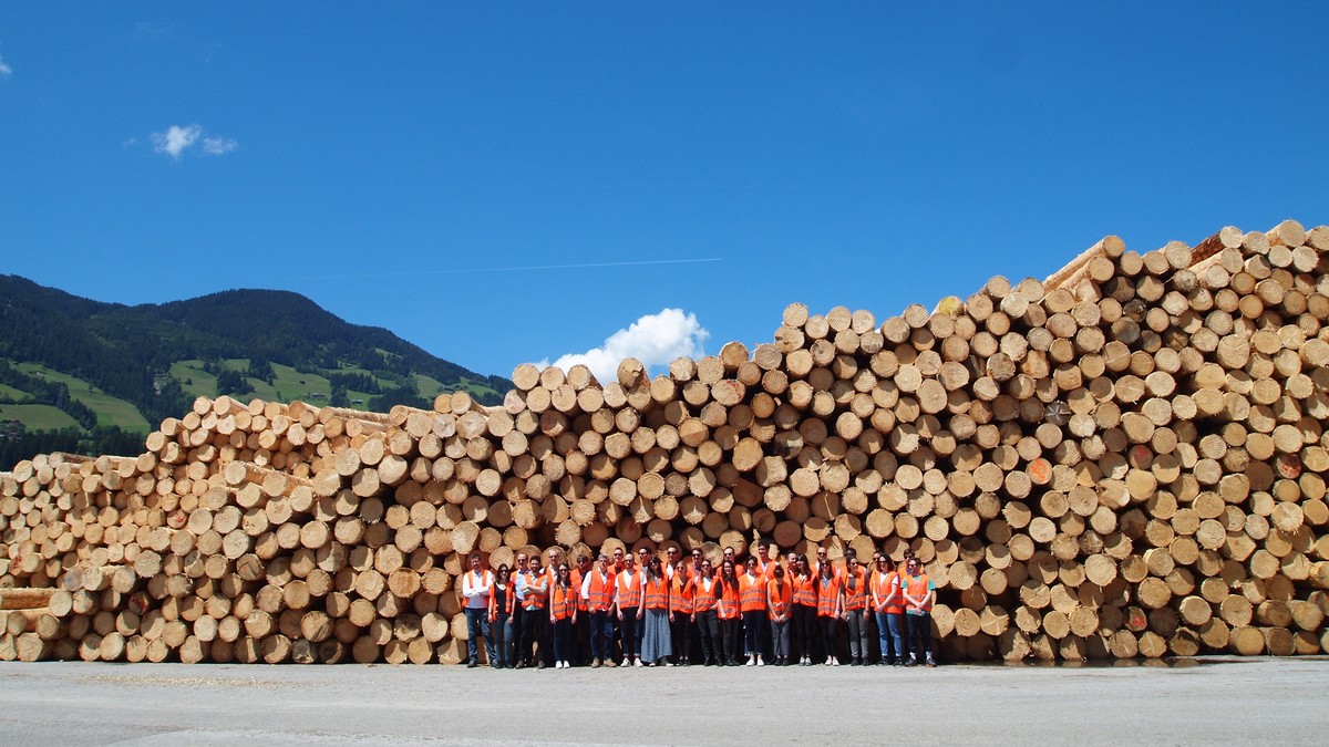 Wooden buildings - a solution to climate change?  1