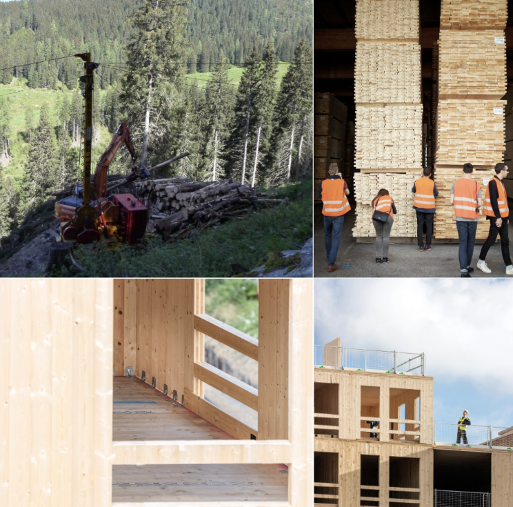 From field to factory the future of timber housing!  1