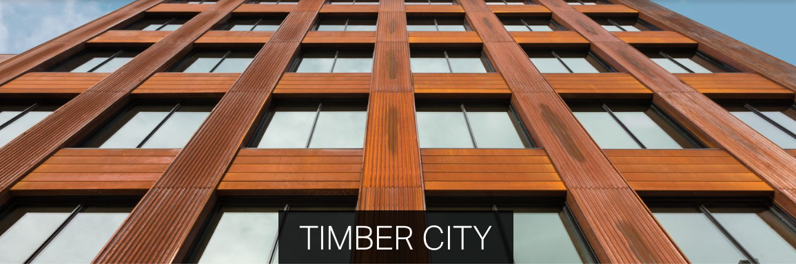 Timber City exhibition extended 1
