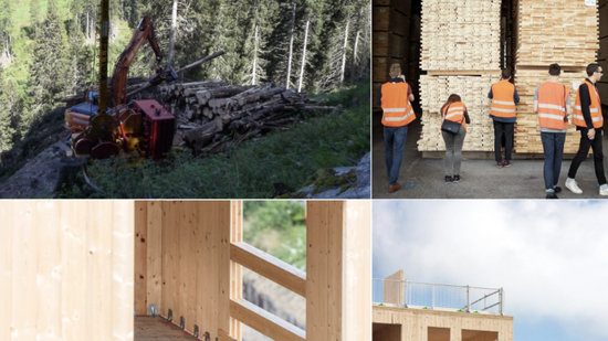 From field to factory the future of timber housing! 