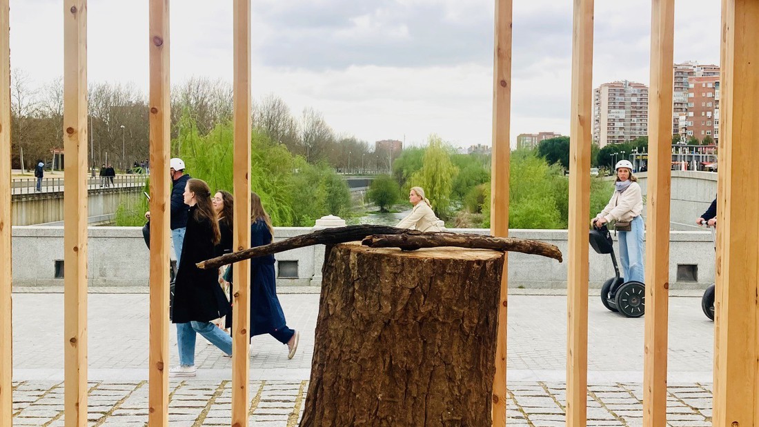 Julen shares his views on timber construction in Spain