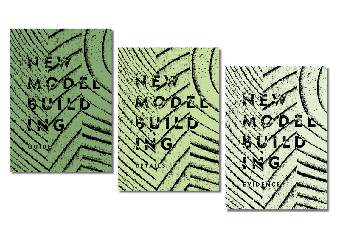 New Model Building  1