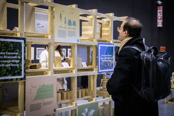 Perceptions of Timber