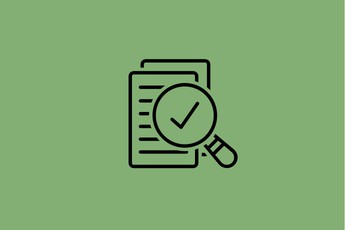 Project Audit