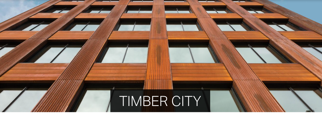 Timber City exhibition extended