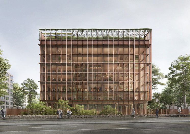 Timber Library