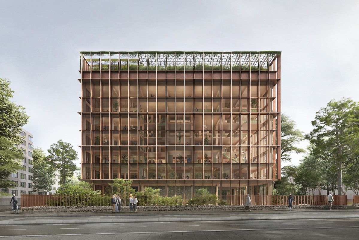 Timber Library 1