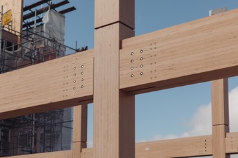 Timber Procurement and Demonstrators