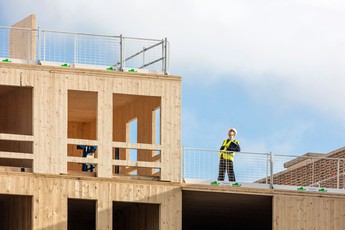 Timber Typologies