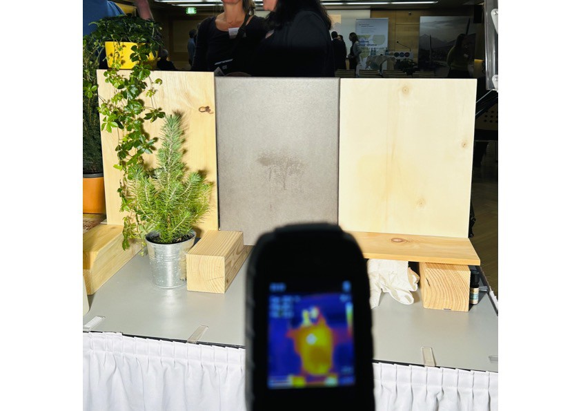 We are at Holzbau in Innsbruck 2